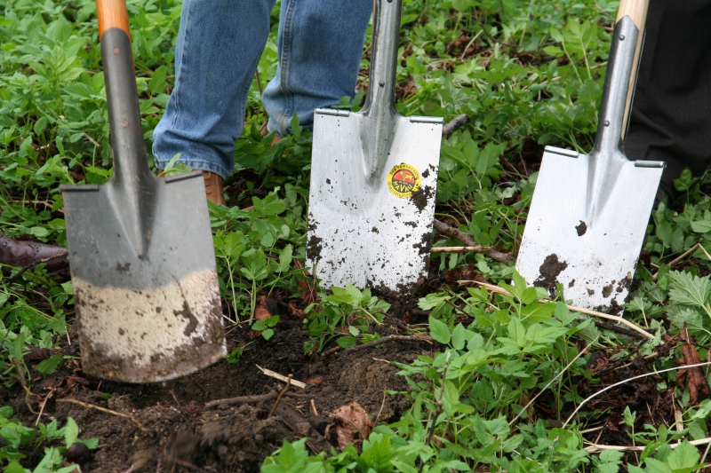 pepiniere-FLAYOSC-min_work-lawn-flower-tool-green-backyard-1103633-pxhere.com